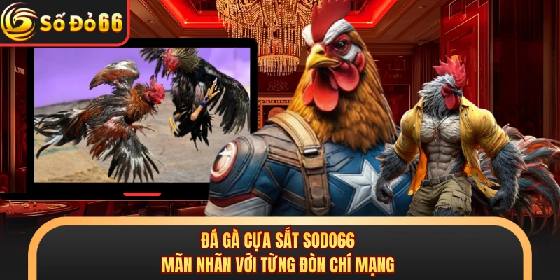 Đá Gà Cựa Sắt SODO66 - Mãn Nhãn Với Từng Đòn Chí Mạng