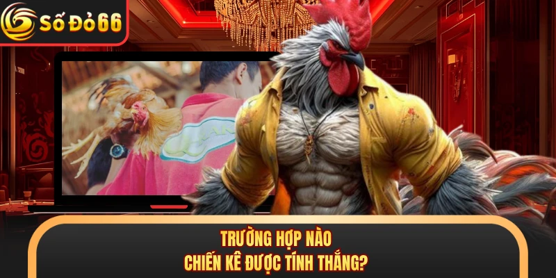 Trường hợp nào chiến kê được tính thắng?